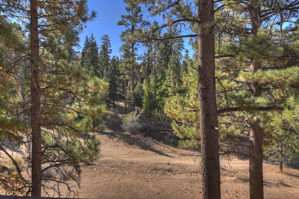 Everwood Serenity Treehouse Ontrail Head/Sledding Villa Big Bear Lake Exterior foto